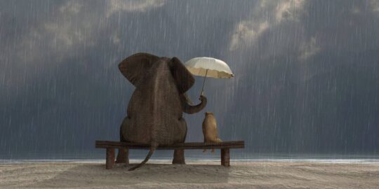 You Are Created For A Special Purpose